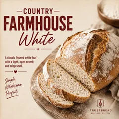 Country Farmhouse White