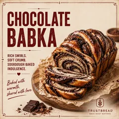 Chocolate Babka