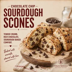 Chocolate Chip Sourdough Scones